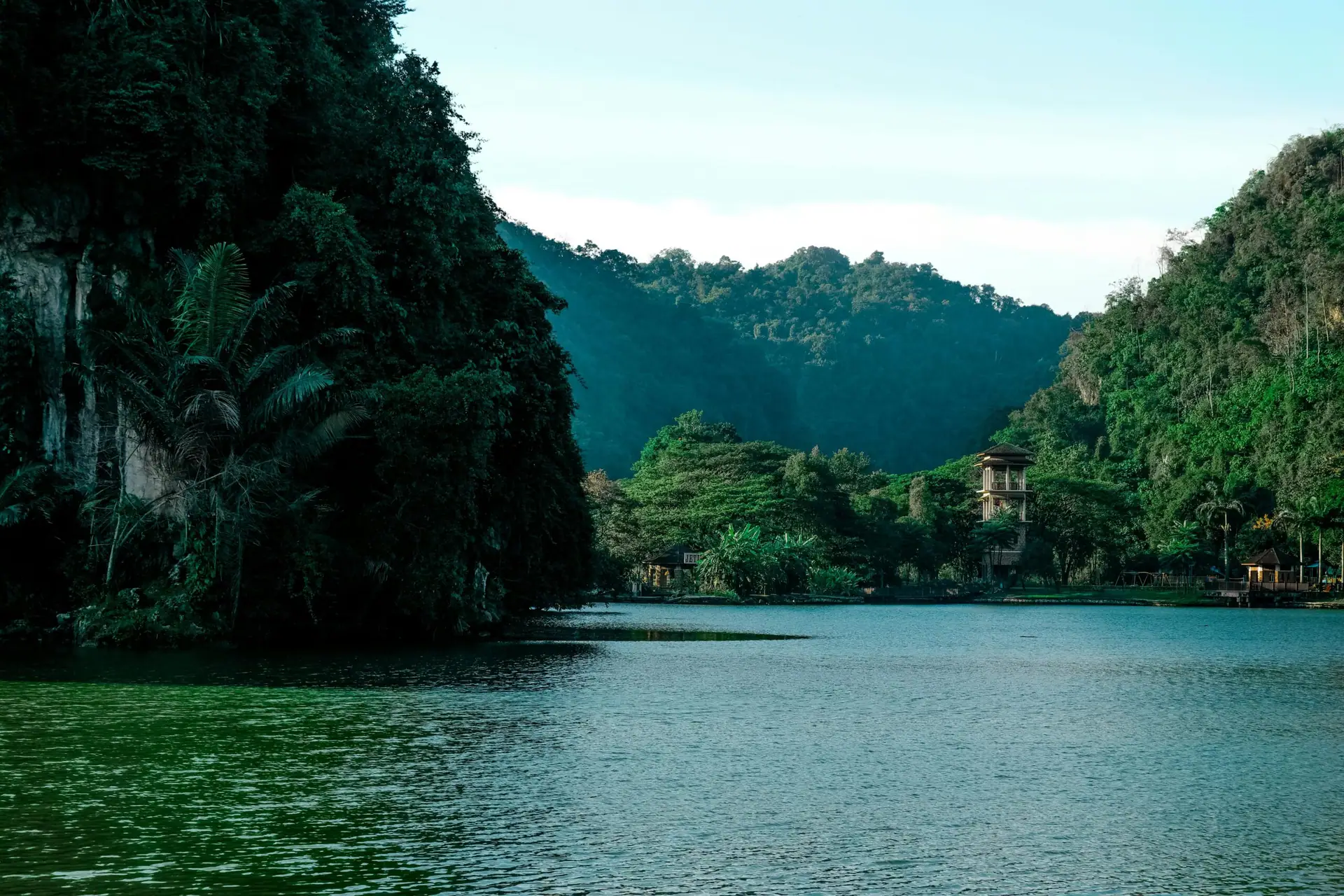 Still water and forest