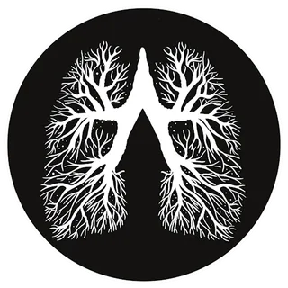 Breath Body Therapy